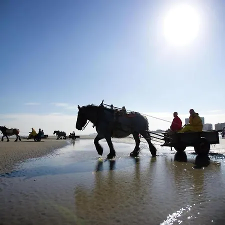 Appartamento Near Port With Scenic Views *