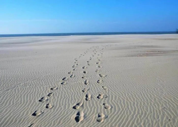 Near Port With Scenic Views نيوبورت