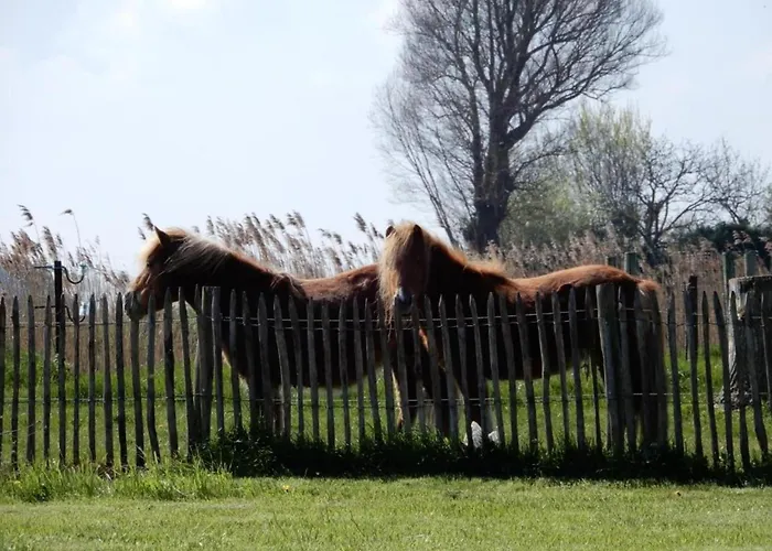 Near Port With Scenic Views